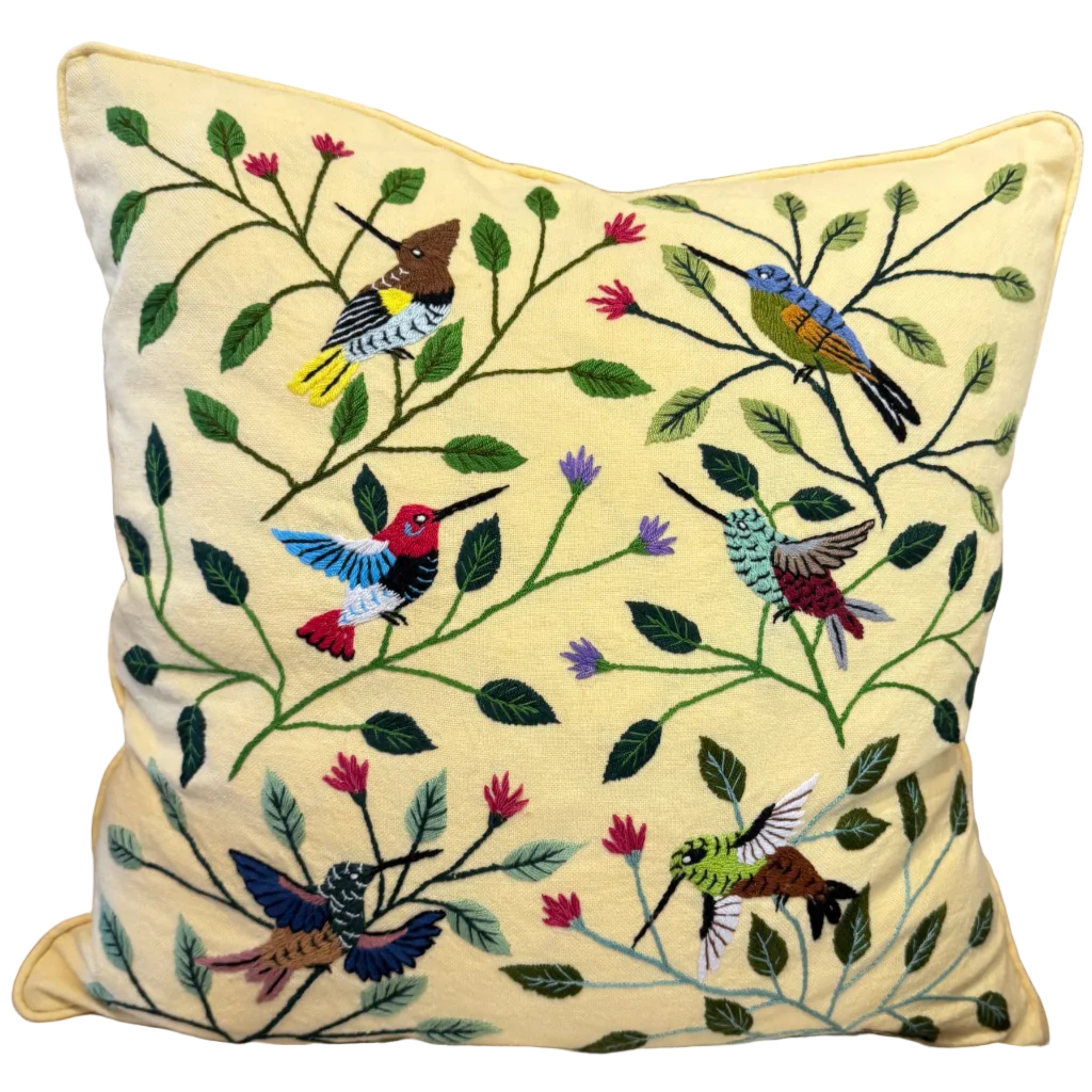 Handwoven and Hand Embroidered Hummingbird Pillow Guatemala