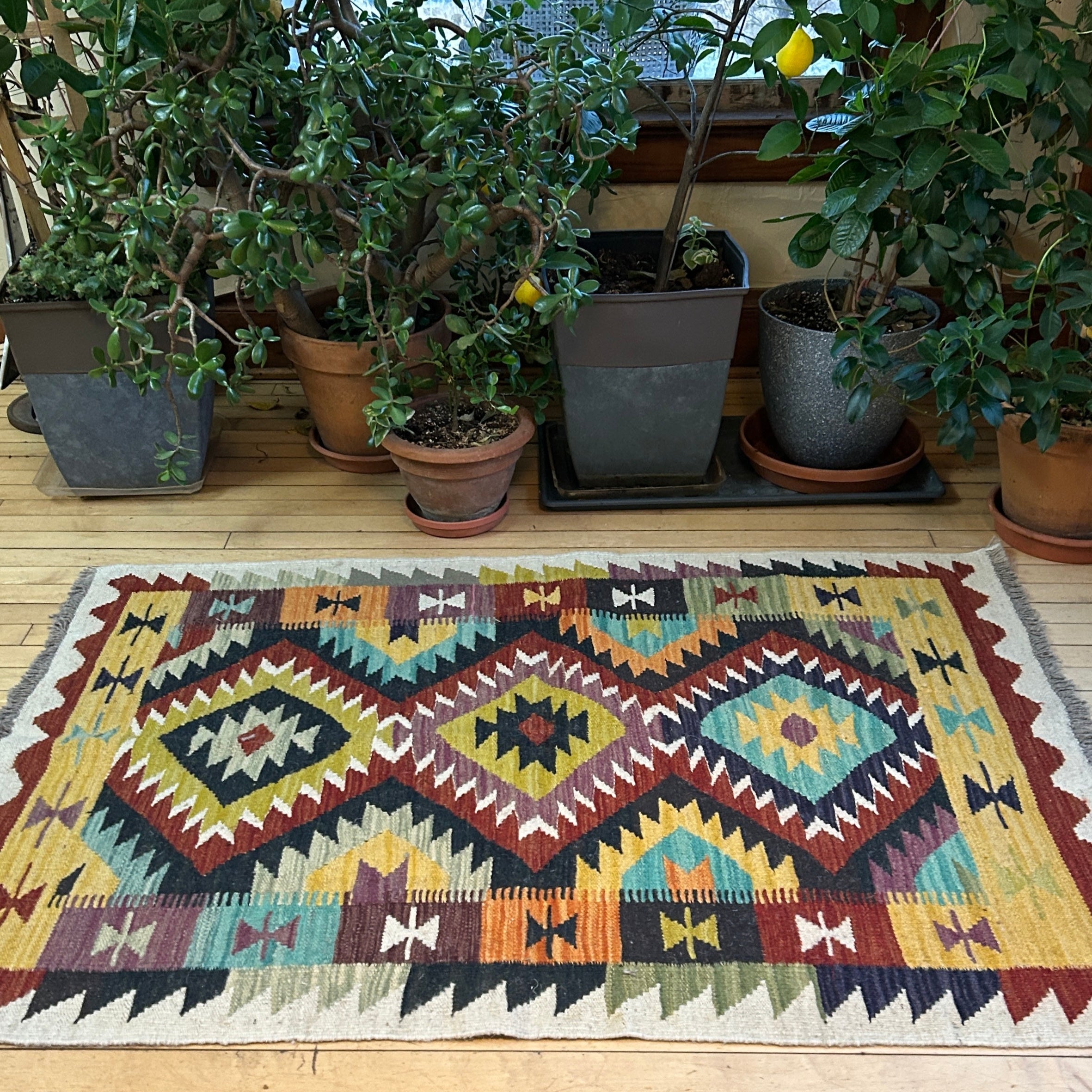 Handwoven Wool Kilim Small Rug Afghanistan (3x5) - K0226