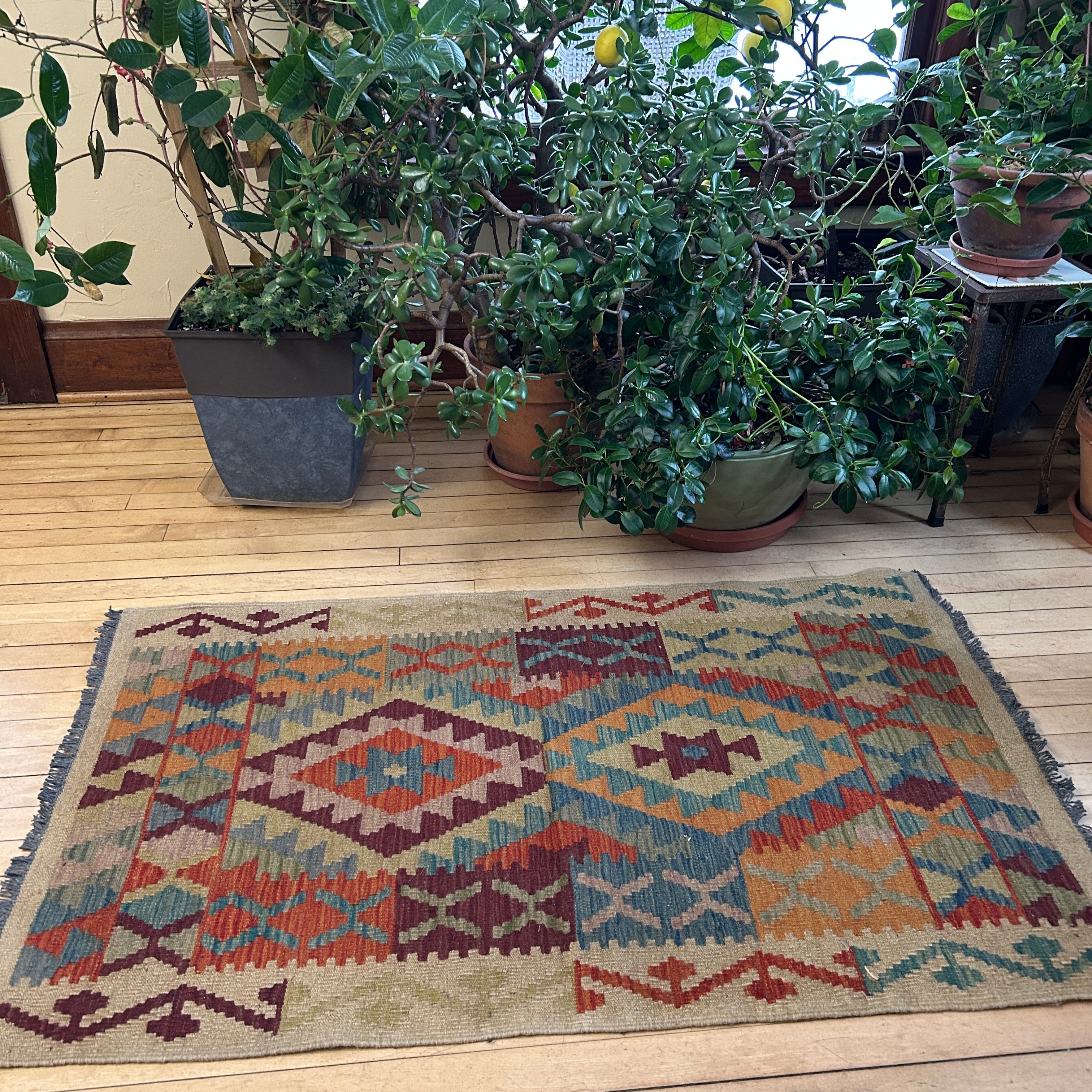 Handwoven Wool Kilim Small Rug Afghanistan (32x53) - 056