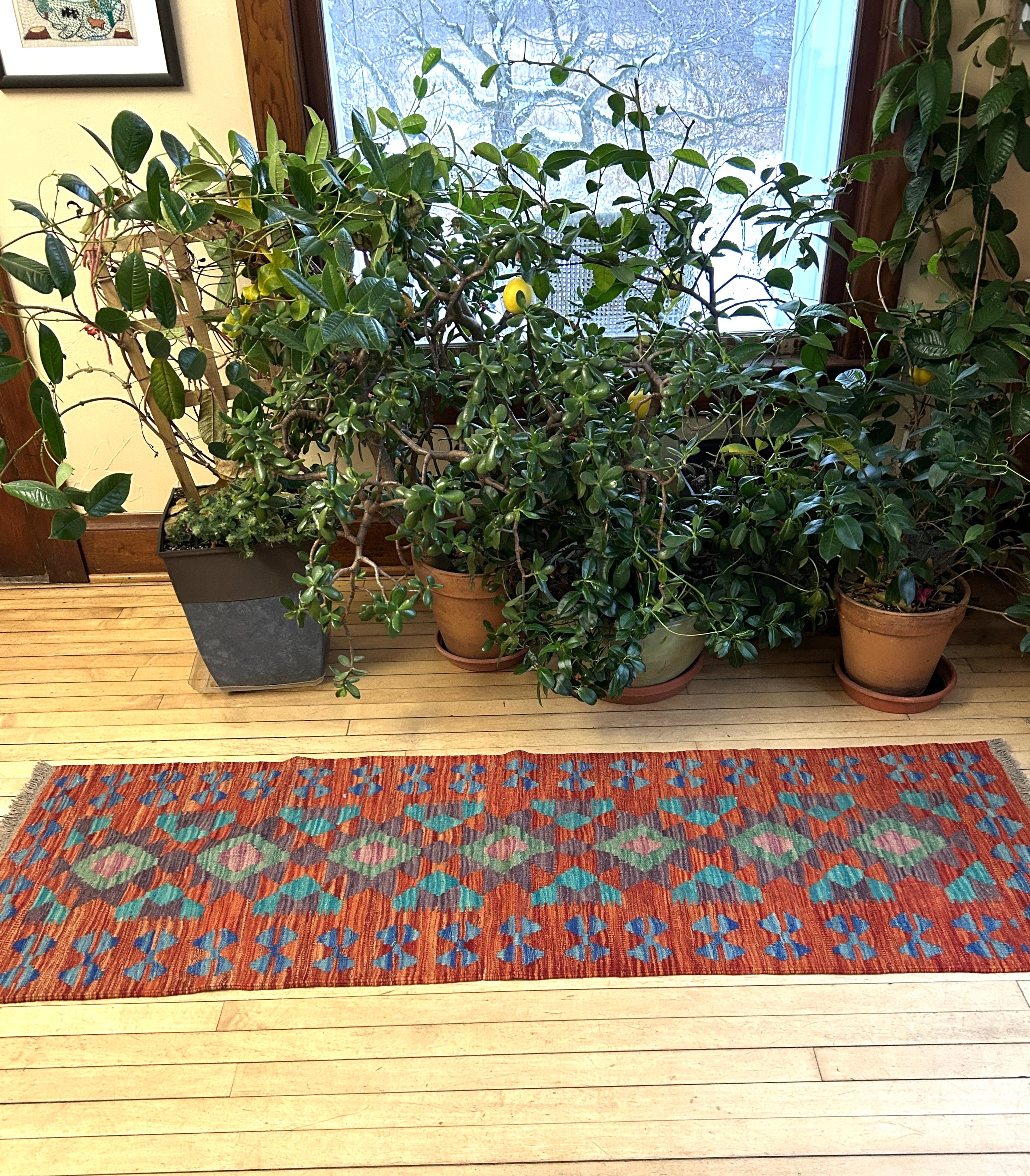 Handwoven Wool Kilim Runner Afghanistan (2x6) - K0404
