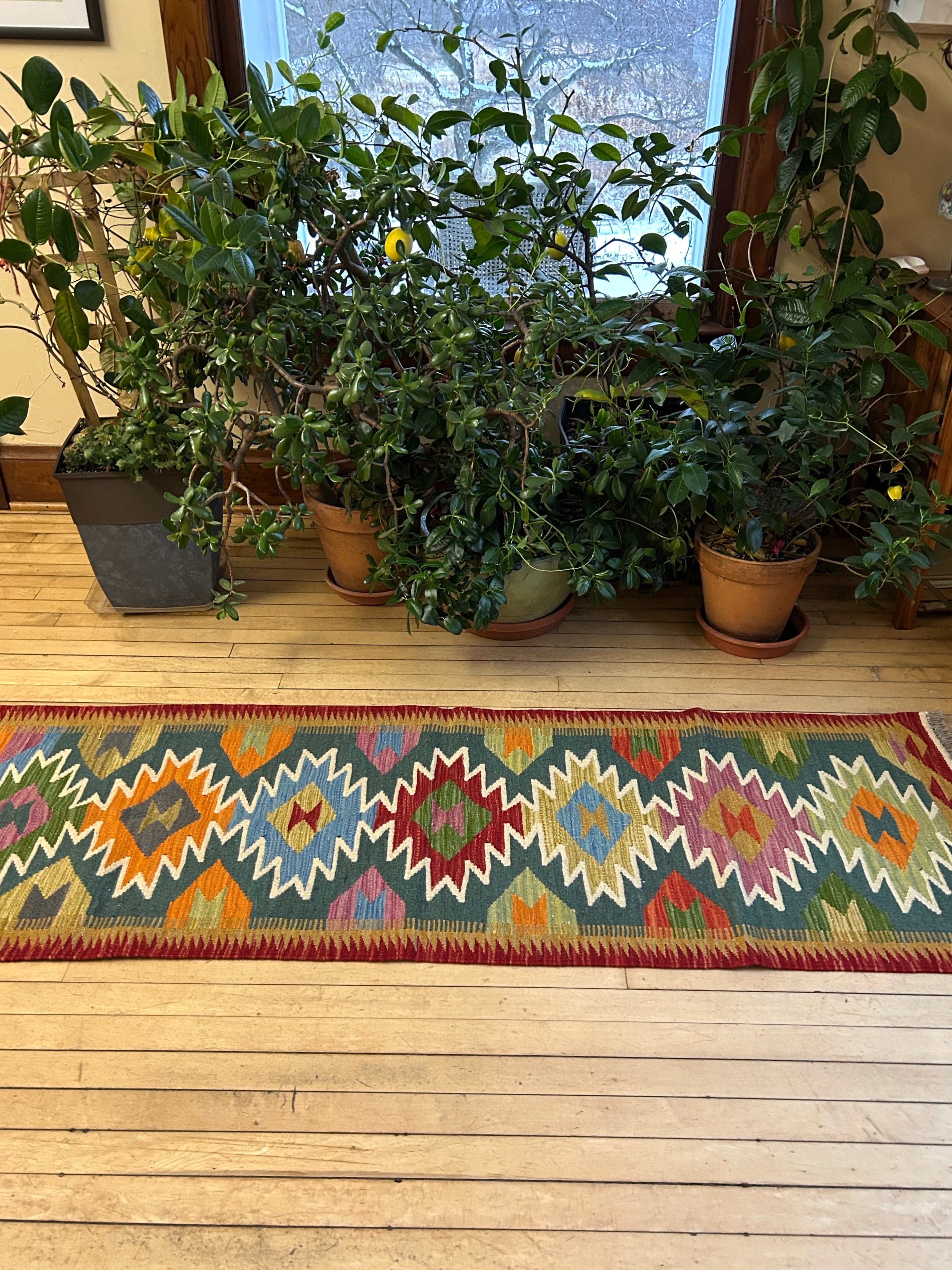 Handwoven Wool Kilim Runner Afghanistan (2x6) - K0444