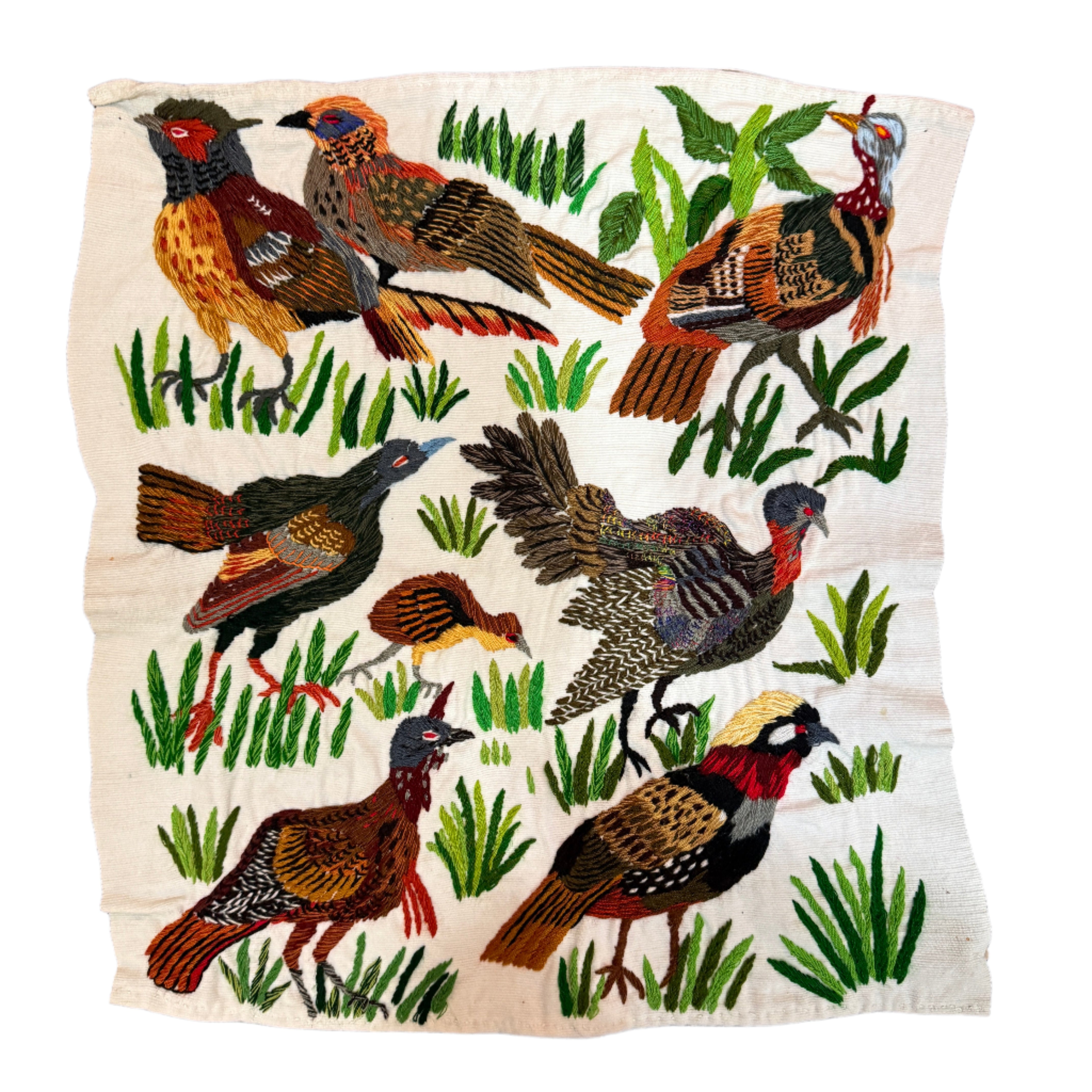 Bird Hand Embroidery on Cotton Guatemala (16" x 17")