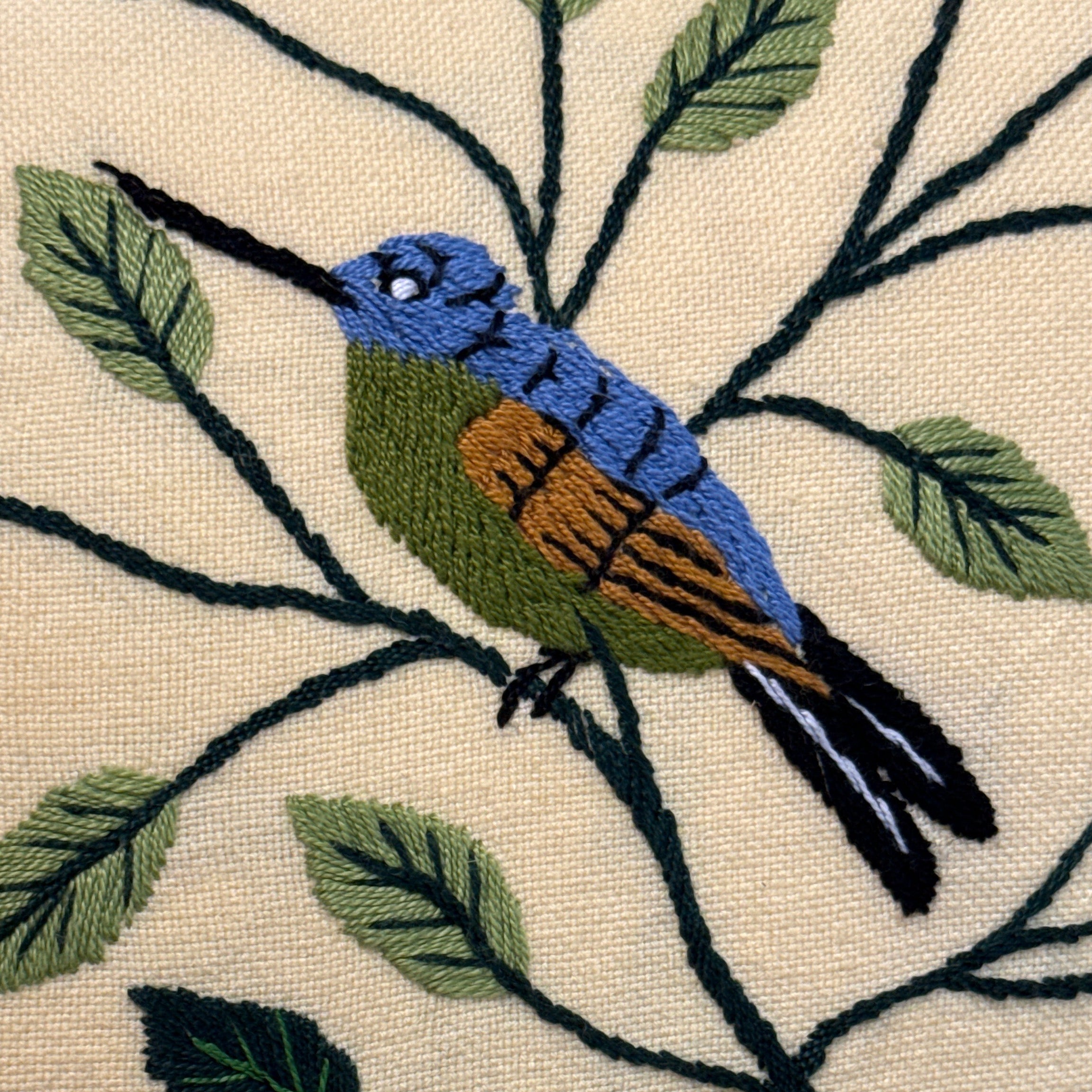 Handwoven and Hand Embroidered Hummingbird Pillow Guatemala