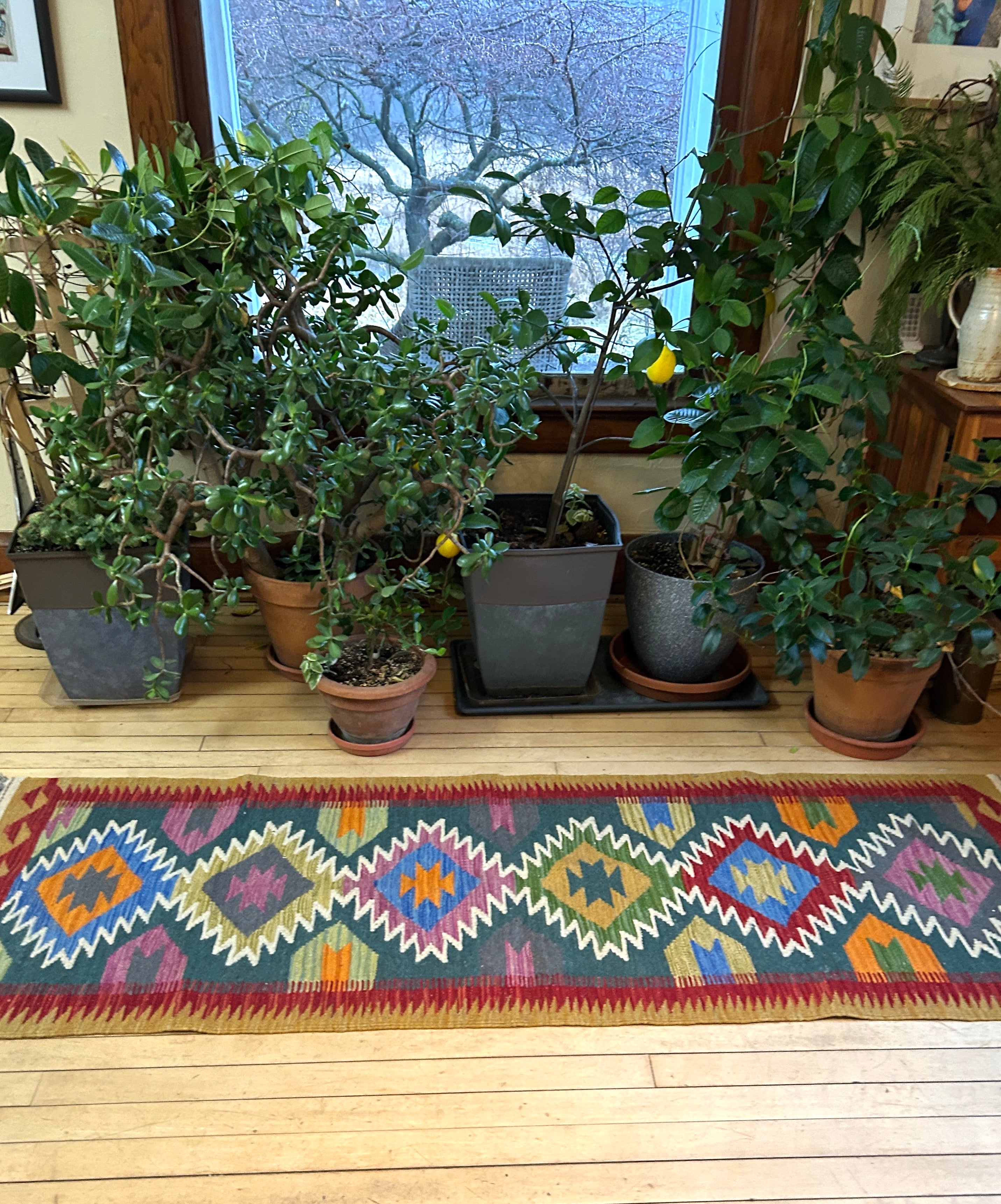 Handwoven Wool Kilim Runner Afghanistan (2x6) - K0445