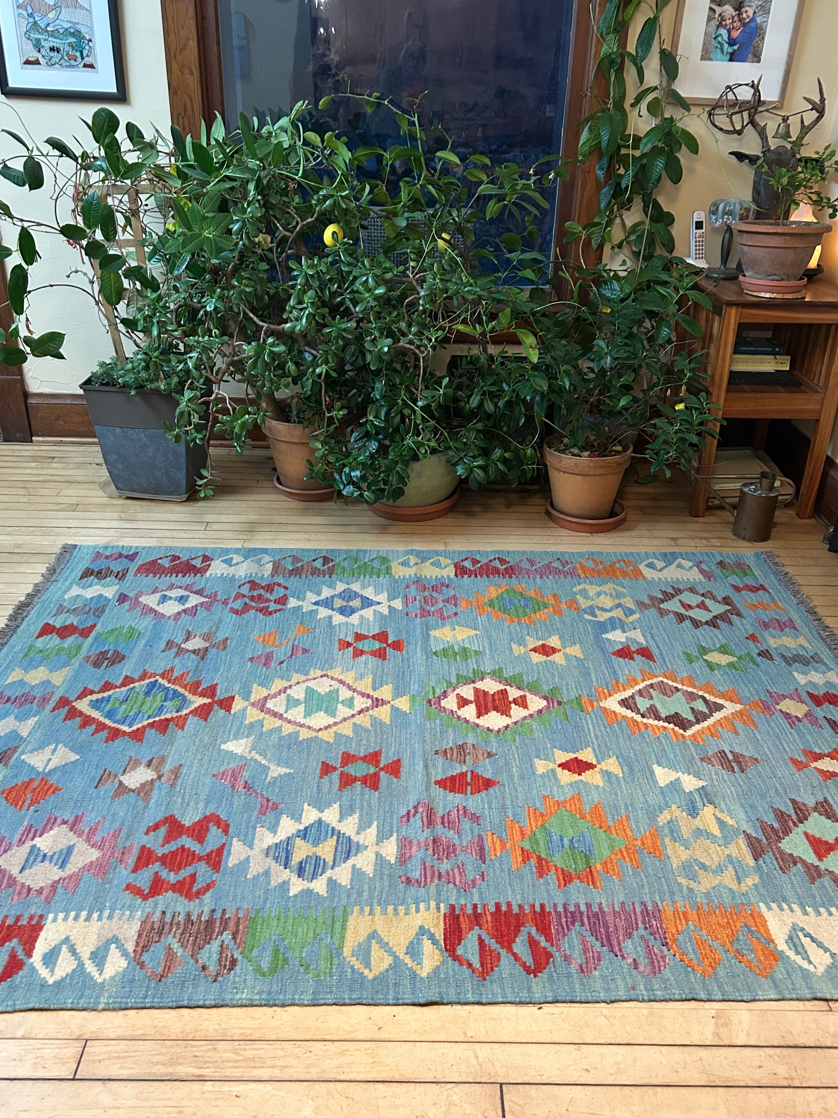 Handwoven Wool Kilim Large Rug Afghanistan (5x7) - K0707