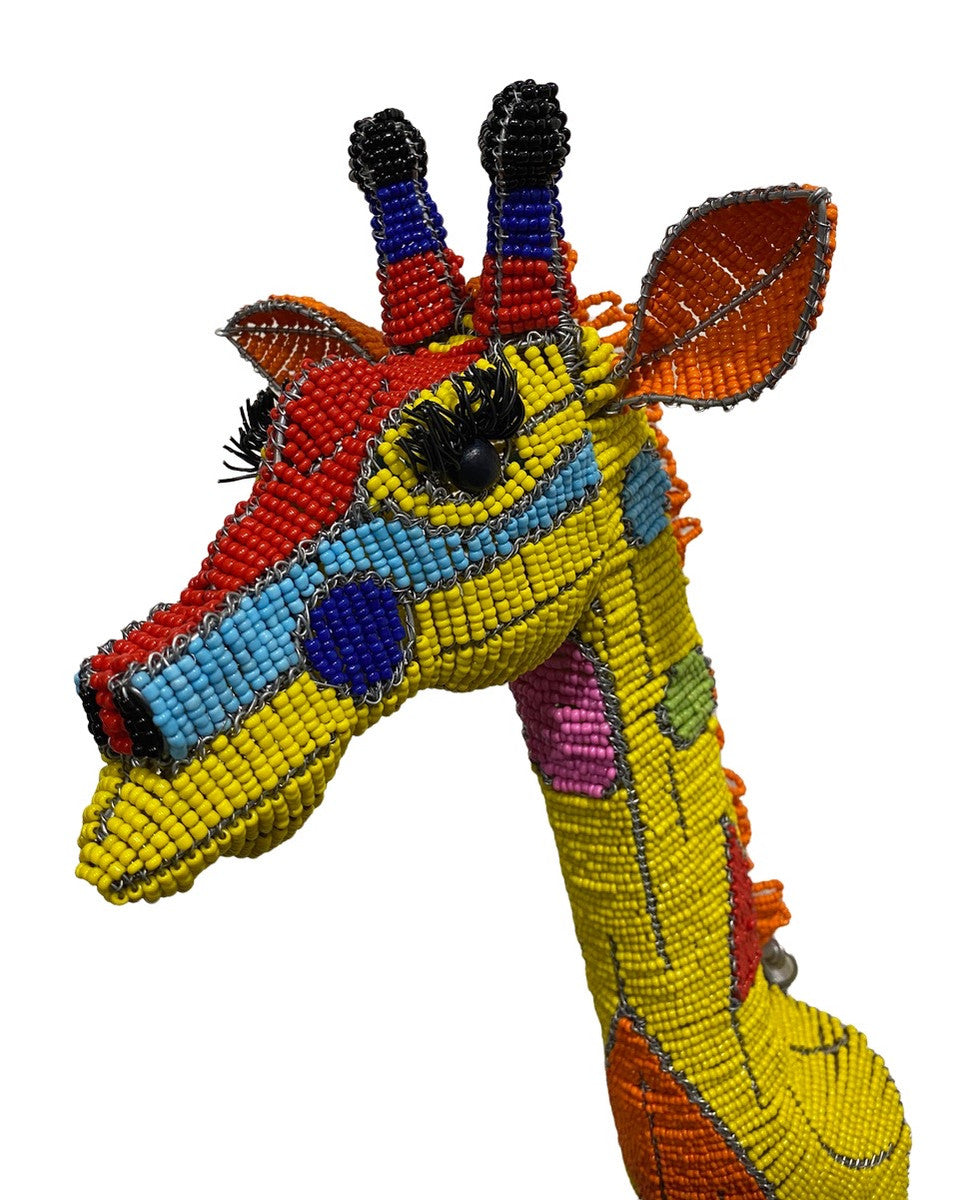 South African giraffe - Wikipedia