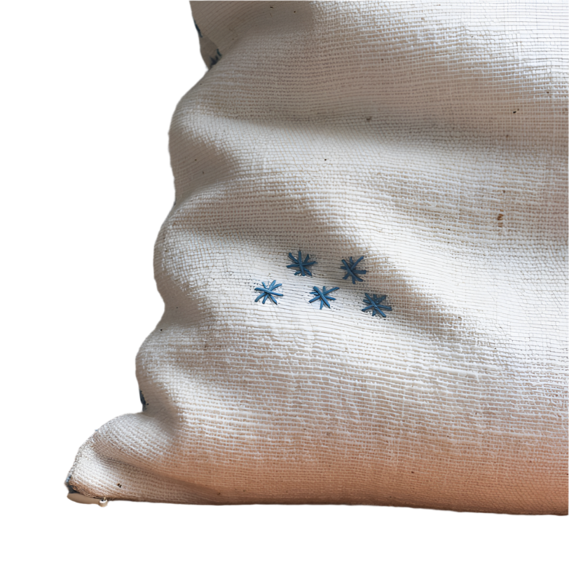 Handwoven Doi Saket Sundial Cotton Pillow Laos-Thailand (18x18)