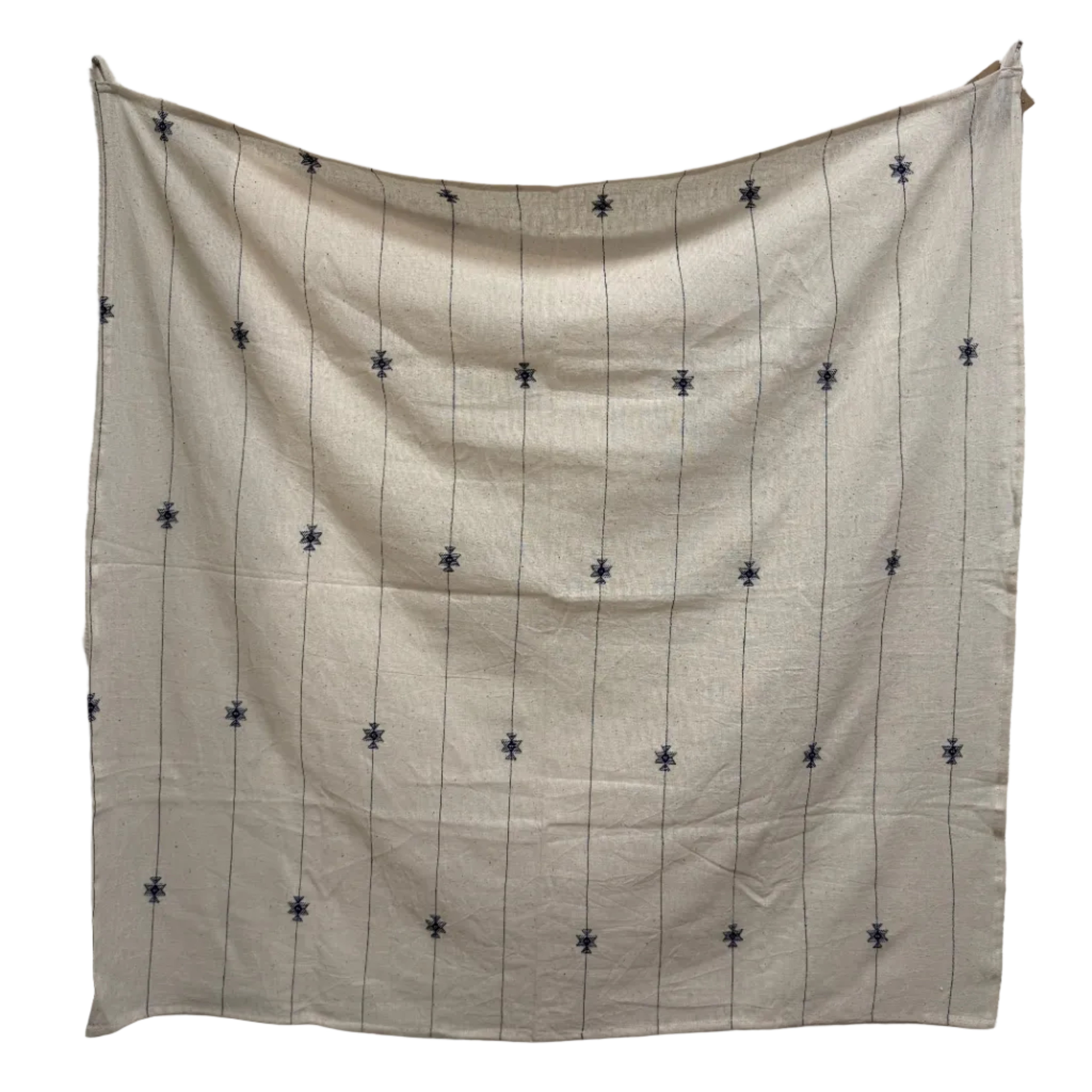 Handwoven Organic Cotton With Inlay Cafe Curtain White & Blue India